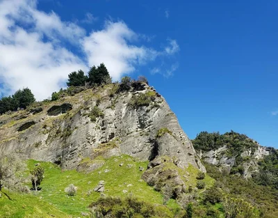 Hawke's Bay Region - Photo 5