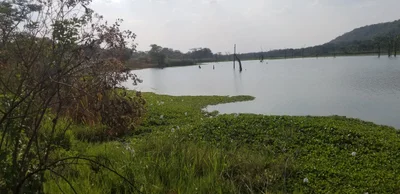 Lubumbashi - Photo 2