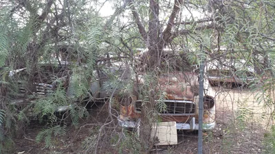 Terowie - Photo 5