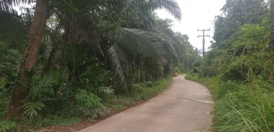Thung Tako - Photo 2