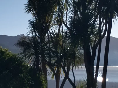 Wairoa - Photo 3