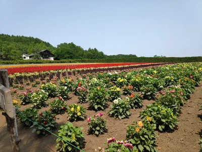 Nakafurano - Photo 5