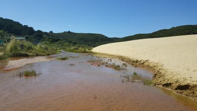 Te Paki - Photo 2