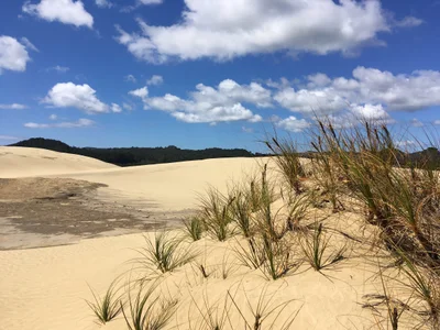 Te Paki - Photo 4