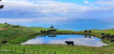 Porangahau - Photo 3
