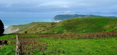 Porangahau - Photo 4