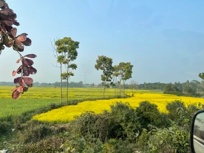 Manikganj - Photo 3