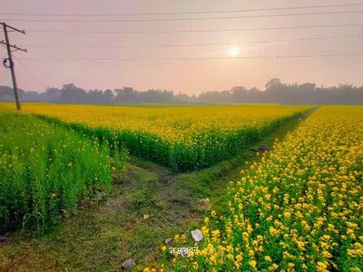 Manikganj - Photo 5