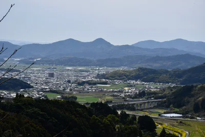 Ogi - Photo 2