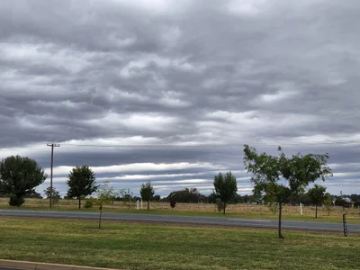 Temora - Photo 4