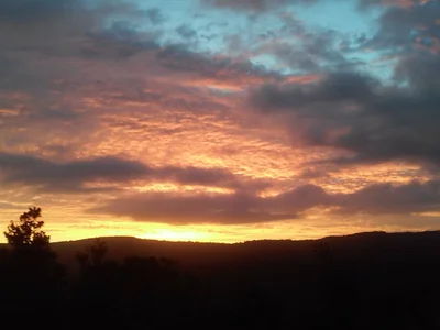 Waipoua Forest - Photo 2