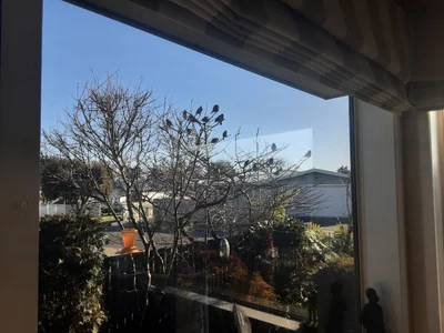 Havelock North - Photo 2
