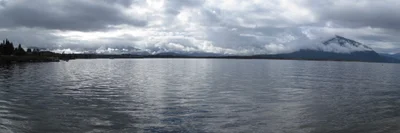 Moana - Photo 3