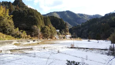 Konan - Photo 3