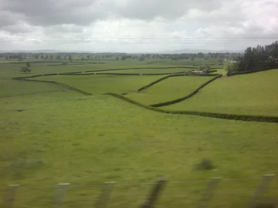 Te Awamutu - Photo 3