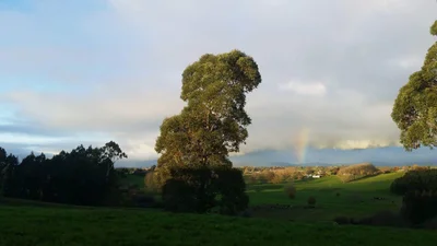 Te Awamutu - Photo 5