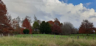Kihikihi - Photo 2