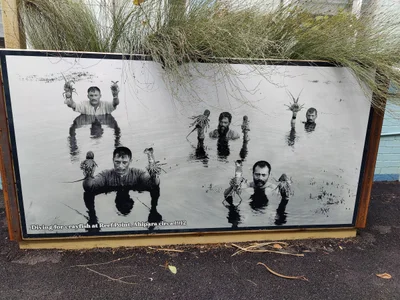 Kaitaia - Photo 3