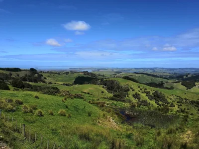 Kaitaia - Photo 4