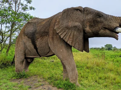 Arusha National Park - Photo 3
