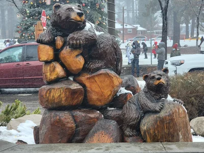 Big Bear Region - Photo 2
