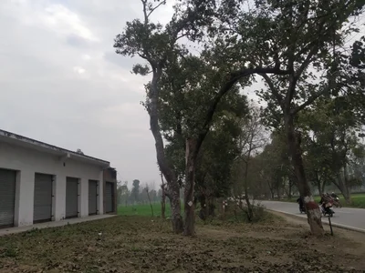 Rampur - Photo 4