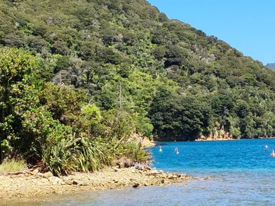 Endeavour Inlet - Photo 5