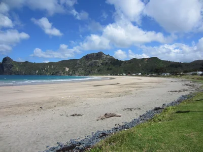 Taupo Bay - Photo 4