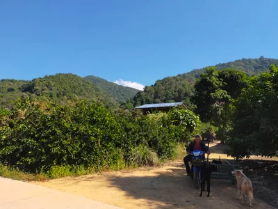Thung Chang - Photo 3
