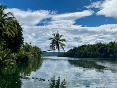 Koh Kong - Photo 3