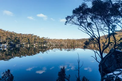 Mount Field National Park - Photo 2