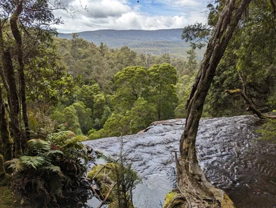 Mount Field National Park - Photo 3