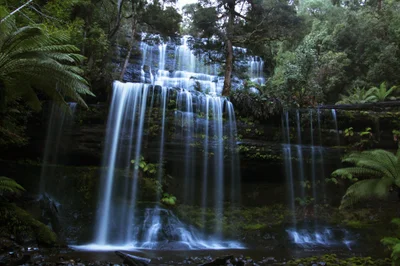 Mount Field National Park - Photo 5