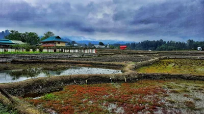 Ziro - Photo 2