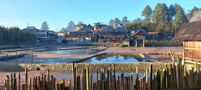 Ziro - Photo 4
