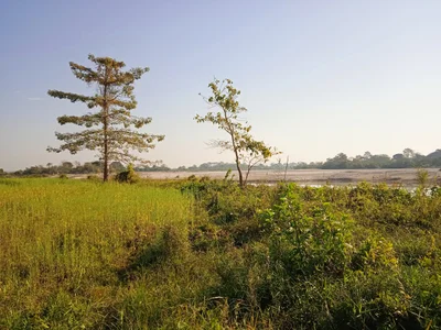 Yuli County - Photo 2