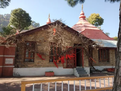 Taradevi - Photo 4