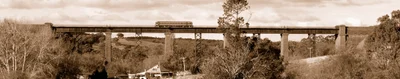 Taradale - Photo 2