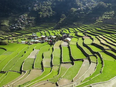 Banaue - Photo 3