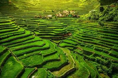 Banaue - Photo 5