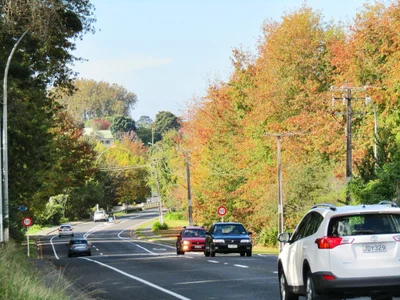 Katikati - Photo 3