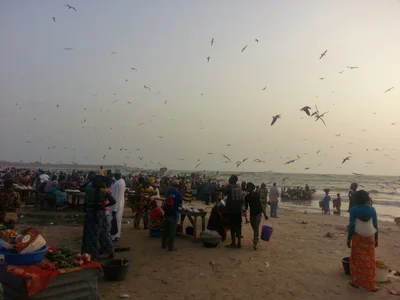 Tanji - Photo 2