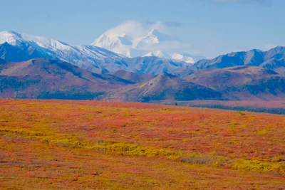 Denali National Park and Preserve - Photo 2