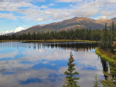 Denali National Park and Preserve - Photo 3