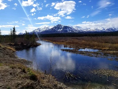Denali National Park and Preserve - Photo 4