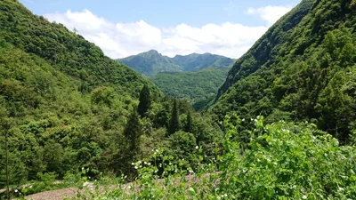 Qingchuan County - Photo 3