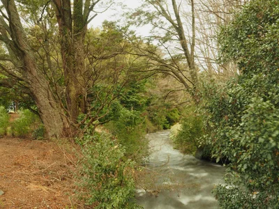 Ohakune - Photo 4
