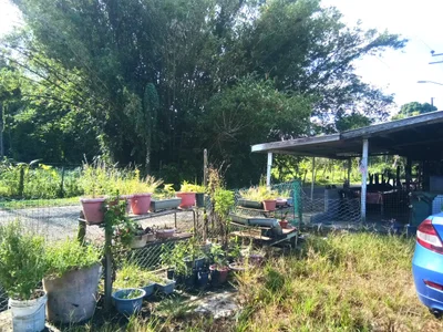 Kota Belud - Photo 2