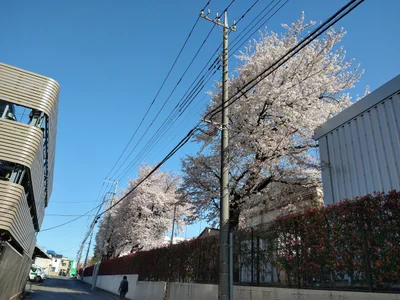 Hino - Photo 2