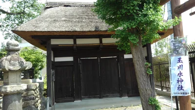 Hamura - Photo 2